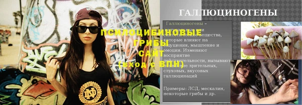 амф Арсеньев