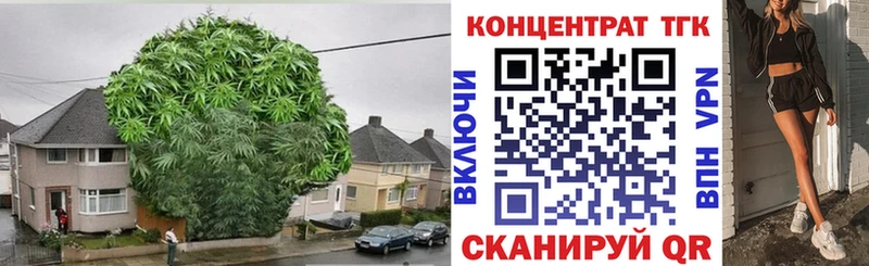 наркотики  гидра как войти  нарко площадка клад  Орлов  Дистиллят ТГК вейп с тгк 