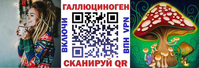 KRAKEN зеркало  Орлов  Галлюциногенные грибы мицелий 